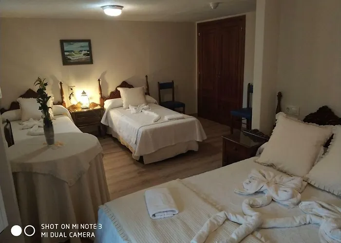 Pura Πανσιόν Cuntis